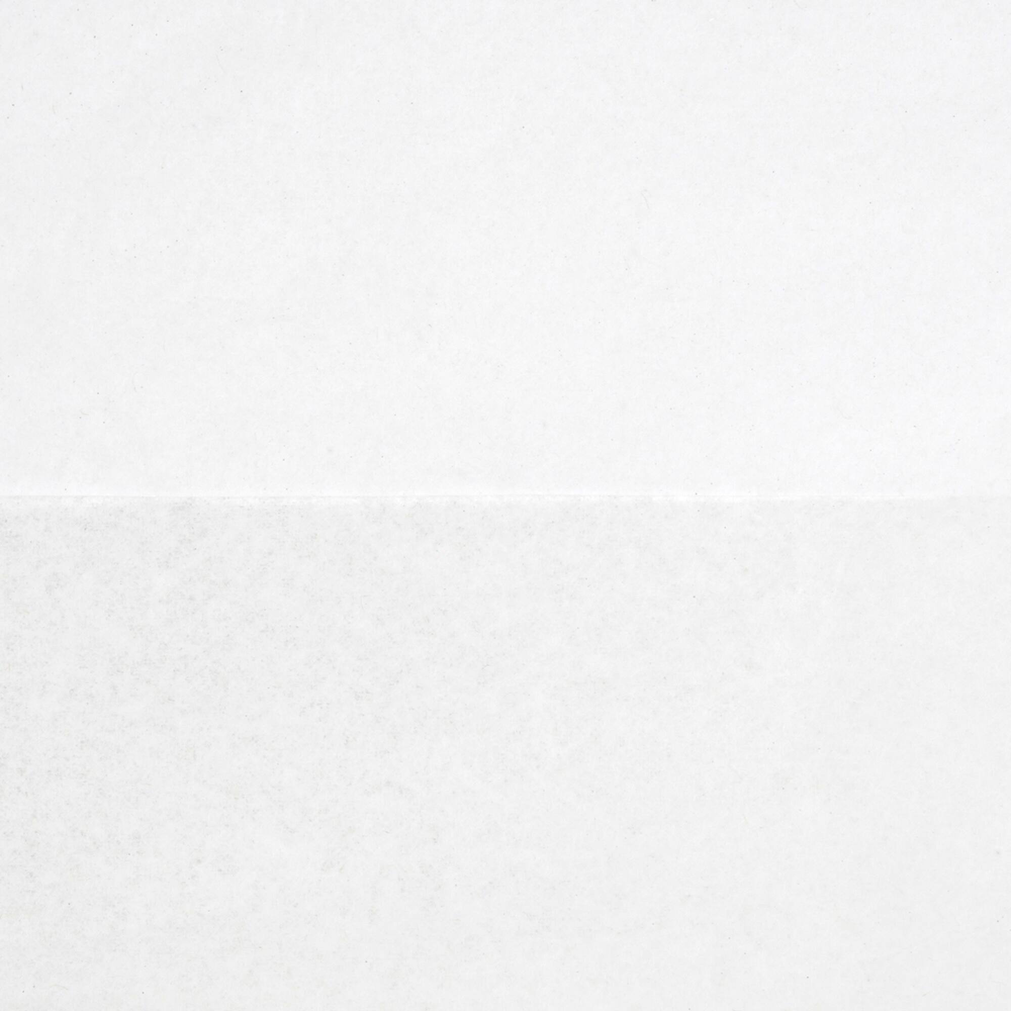 White Tissue Paper Value Pack by Celebrate It™